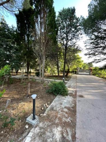 B&B A Pochi Passi Dal Mare Giovinazzo Ngoại thất bức ảnh