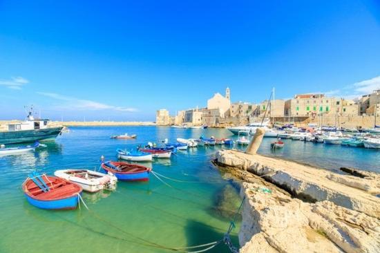 B&B A Pochi Passi Dal Mare Giovinazzo Ngoại thất bức ảnh